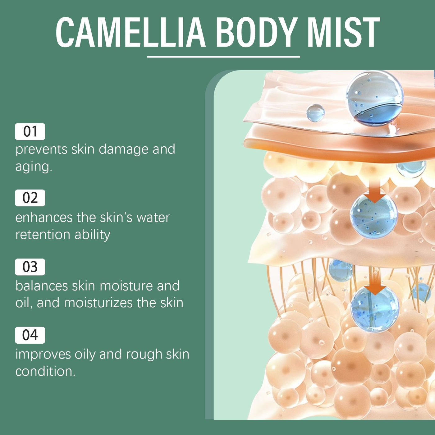 Camellia Body Lotion Refreshing Skin Care